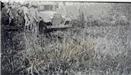 Black and white photo of men and a car parked in a field