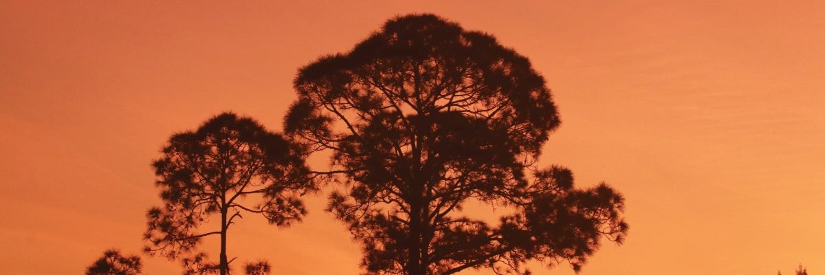 Loxahatchee-Groves-12x4-min