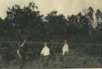 Black and white photo of people looking at a gathering of trees
